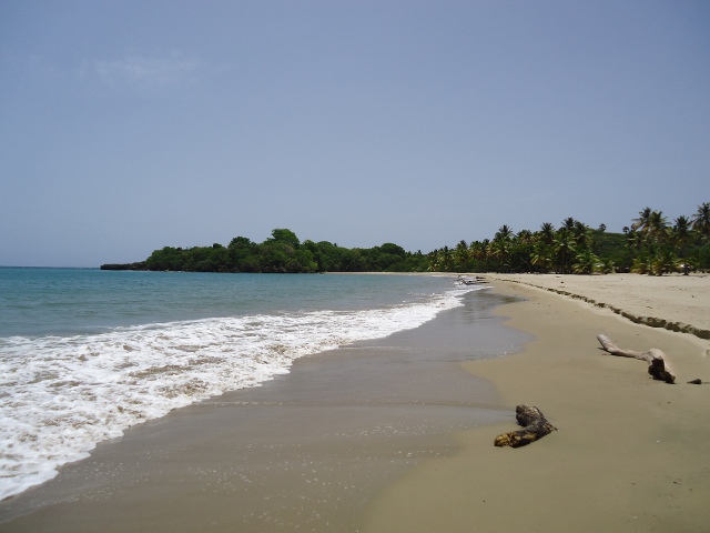 rbeach1