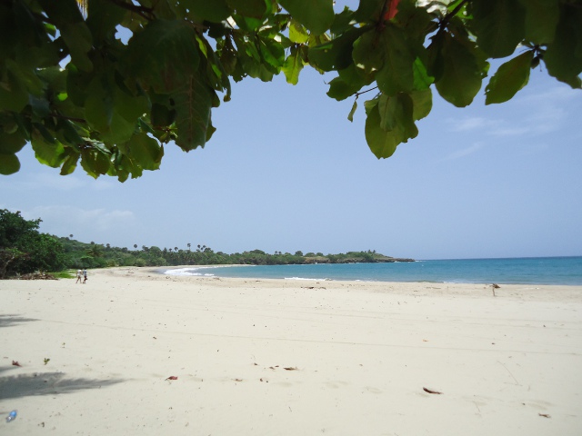 rbeach2