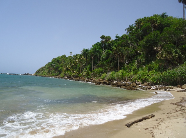 rbeach4