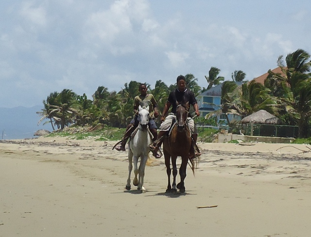rhorses2