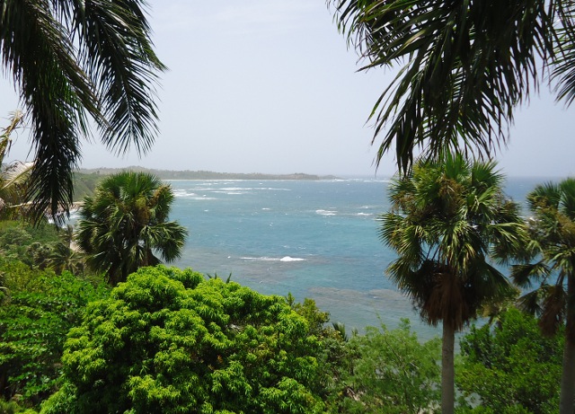 Pretty view of the ocean from high above