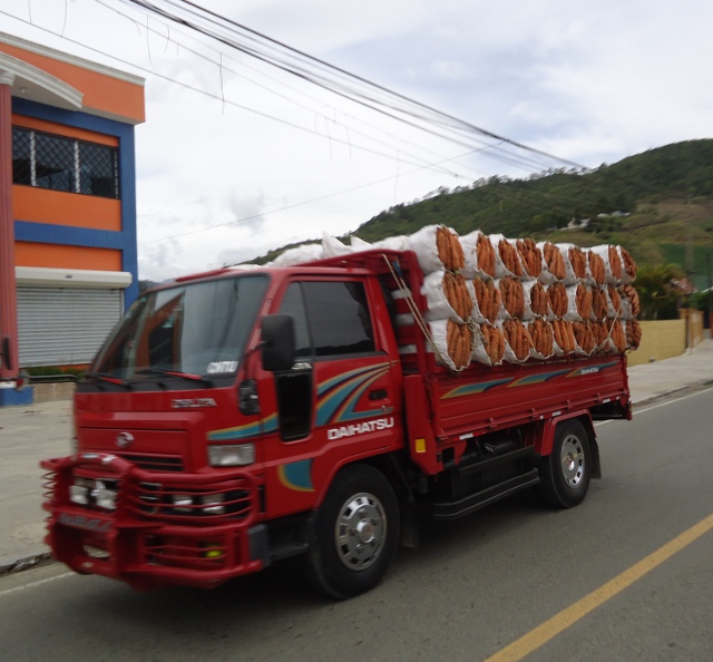Carrots off to the market