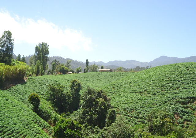 cvalley