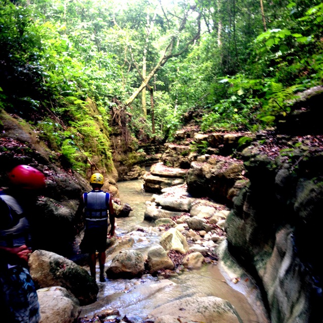 Crossing small creeks to get to the falls.