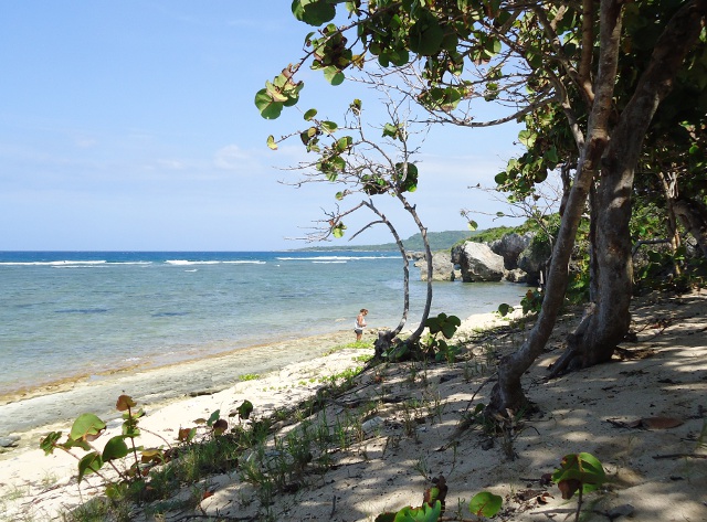 Me searching the beach for treasures...lovely way to spend the day!