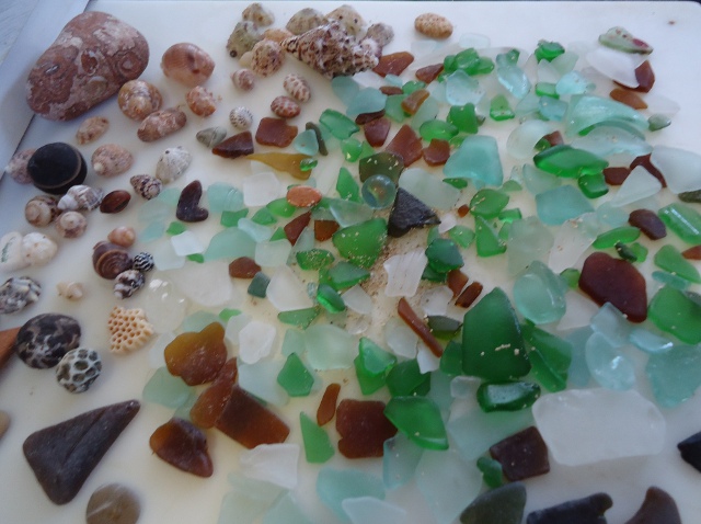 Two days worth of "mermaid tears" and shells. I love searching the beach for these treasures!
