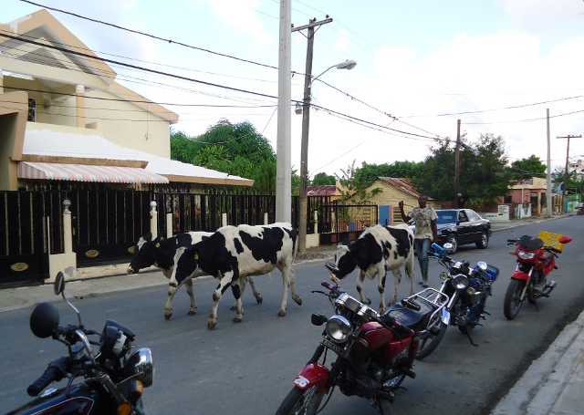 The locals call this a mobile Mac Donald's … LOL, even I think that's funny!