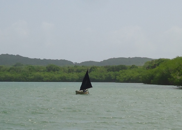 alocalfishsailboat