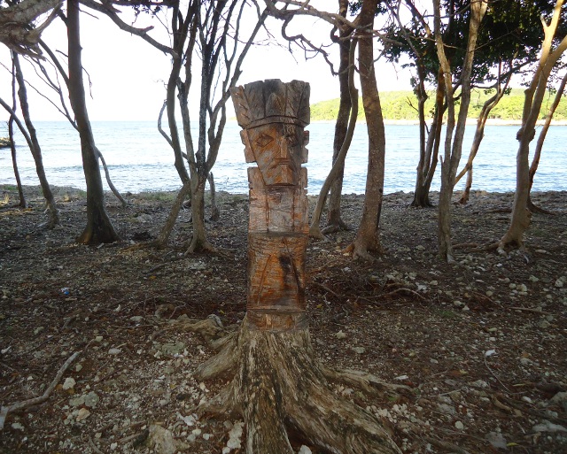 Cool carving made out of the tree's roots.