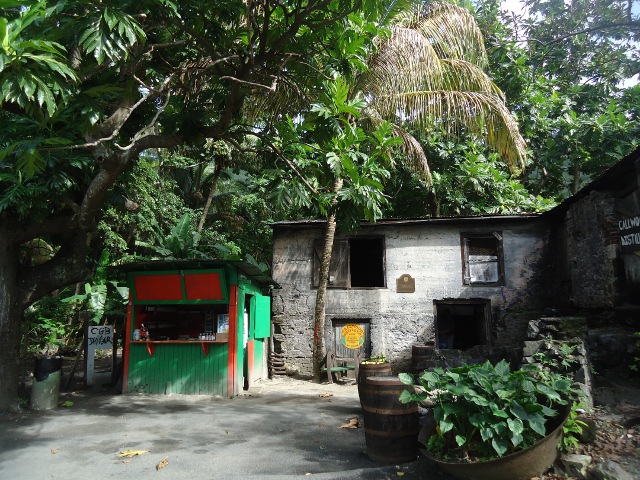 acanedis