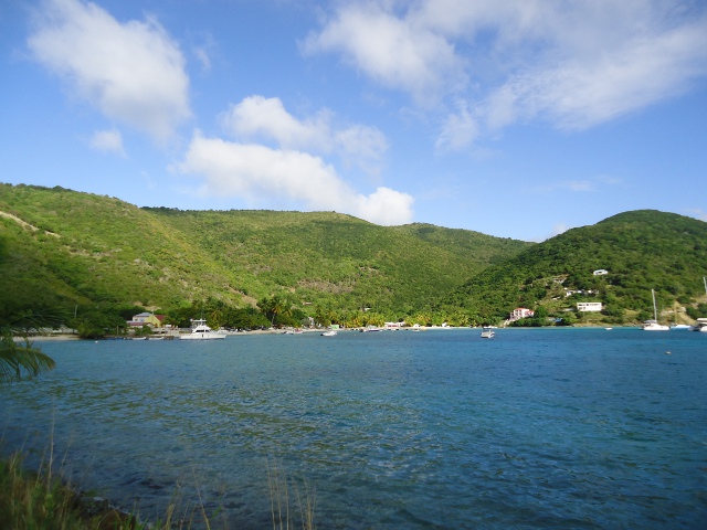 afoxharbor