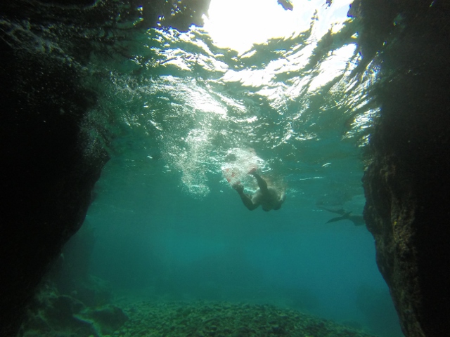 DCIM100GOPRO